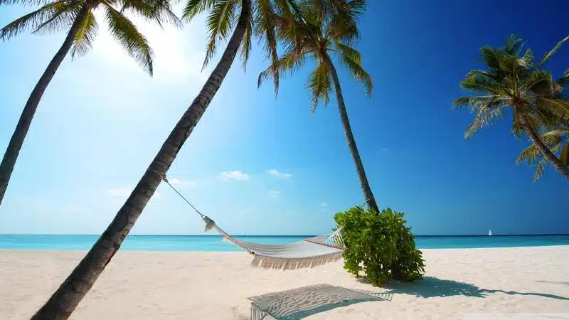 investisseur passif en bord de mer
