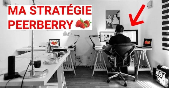 peerberry stratégie article