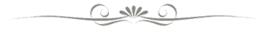 Plateforme de crowdfunding Debitum