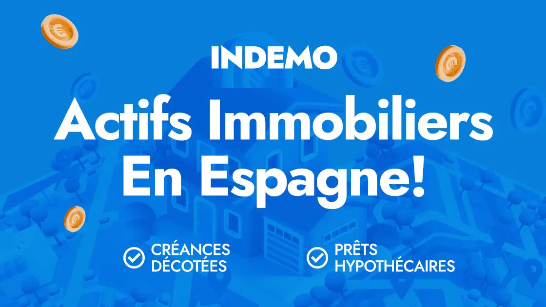Indemo pour article