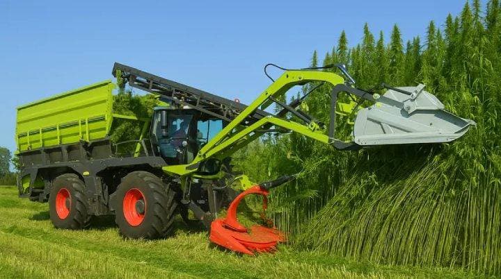 Agrohemp