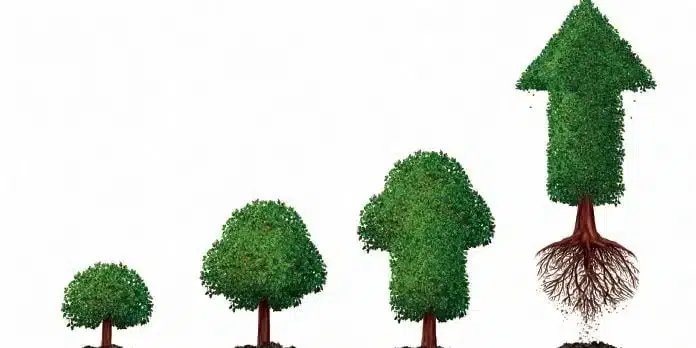 performance portefeuille